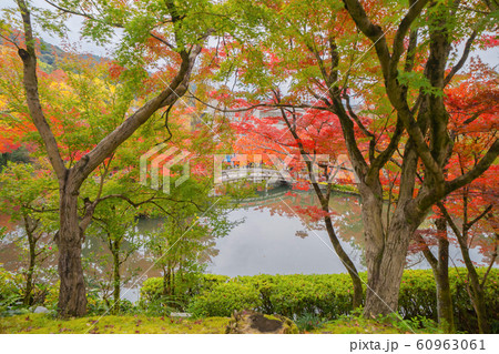 Eikando Zenrinji Temple with red maple leaves or Eikando Zenrinji Temple with red maple leaves or 60963061