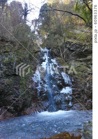 冬の払沢の滝 60963376