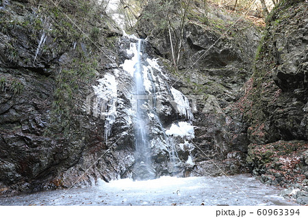 冬の払沢の滝 60963394