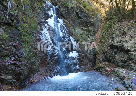 冬の払沢の滝 60963420
