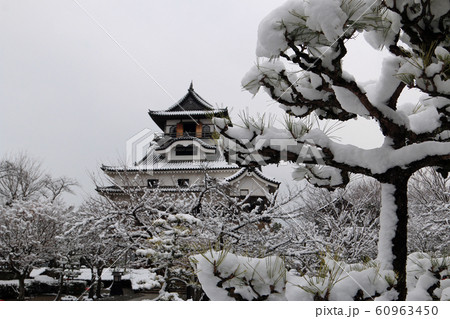 犬山城　雪の犬山城　冬の犬山城　犬山城の雪景色　犬山城の冬景色　国宝犬山城 60963450