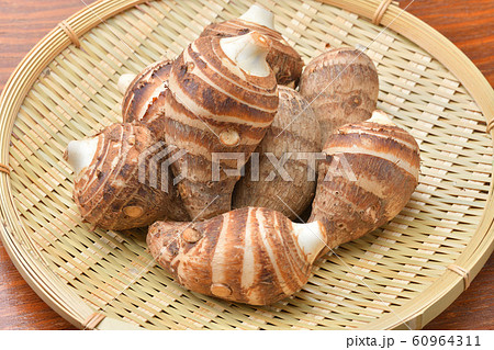 海老芋 えび芋 エビ芋 里芋の種類です の写真素材