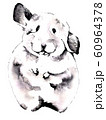 ネズミ 60964378