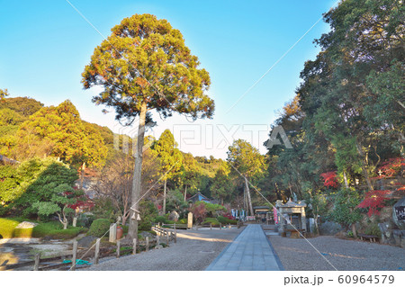 【日照山 無量寿院 極楽寺】 (四国霊場第2番札所) 徳島県鳴門市大麻町桧 【日照山 無量寿院 極楽寺】 (四国霊場第2番札所) 徳島県鳴門市大麻町桧 60964579