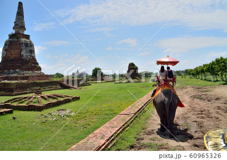 アユタヤエレファントキャンプ 60965326