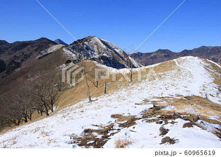 中倉山　足尾アルプス 60965619