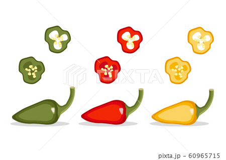 Pepper pod vector illustration Set. Vegetable Pepper pod vector illustration Set. Vegetable 60965715