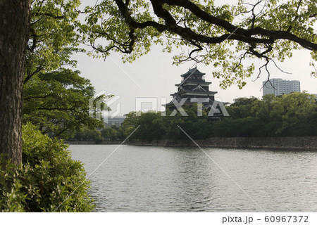 広島城 天守閣 濠 広島城 天守閣 濠 60967372