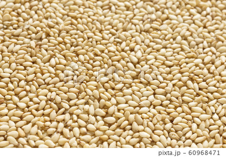 いりごま　白ごま　炒りゴマ 60968471