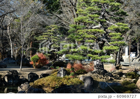 乾徳山恵林寺 乾徳山恵林寺 60969727
