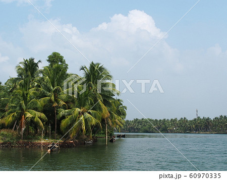 バックウォータークルーズ 60970335