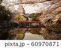 姫路城と桜 60970871
