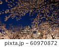 大阪城と桜 60970872