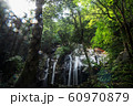 山の中の滝 60970879