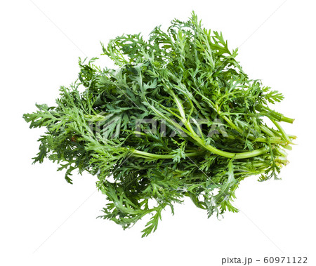 pile of fresh edible chrysanthemum greens isolated 60971122