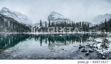 Wooden lodge in pine forest with heavy snow Wooden lodge in pine forest with heavy snow 60971627