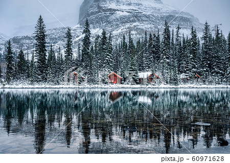 Wooden lodge in pine forest with heavy snow Wooden lodge in pine forest with heavy snow 60971628