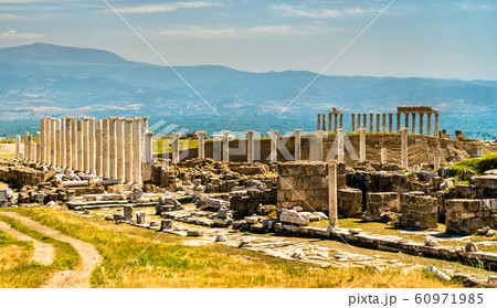 Laodicea on the Lycus, an archaeological site in 60971985