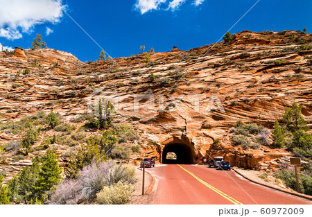 Tunnel through the rocks at Zion National Park 60972009
