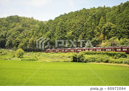 新緑の中を走る能勢電車 60972094
