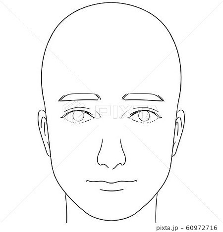 Human Body Illustration Series Face Of A Stock Illustration