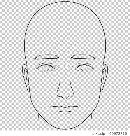 【人体イラストシリーズ】正面を向く女性の顔 60972716