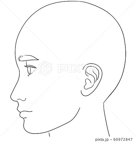 人体イラスト 横顔の女性のイラスト素材 60972847 Pixta