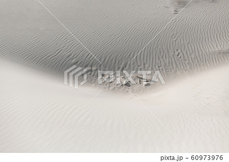 Footprints in the sandy desert a a Footprints in the sandy desert a a 60973976