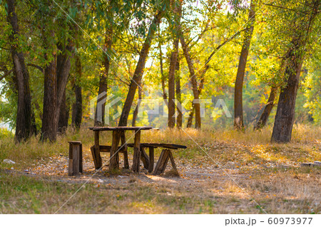 A table and two benches from a rough log house. 60973977