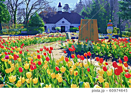 ふなばしアンデルセン公園のアイスチューリップと童話館（12月）千葉県船橋市 60974645