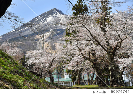 福島県猪苗代市　磐梯山と桜 60974744