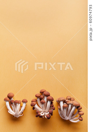 Bush mushrooms on a yellow background. Blank for flyers, advertising, place for text 60974793