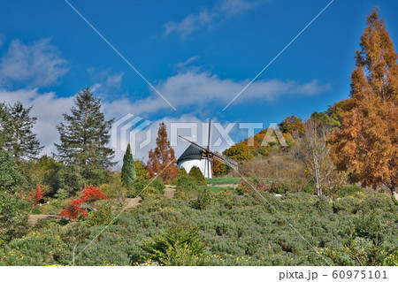 【あすたむらんど徳島 風車】 徳島県板野郡板野町那東キビガ谷 【あすたむらんど徳島 風車】 徳島県板野郡板野町那東キビガ谷 60975101