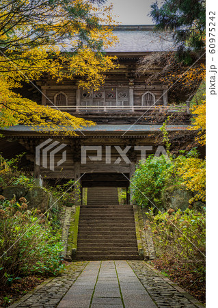 日本の紅葉 60975242