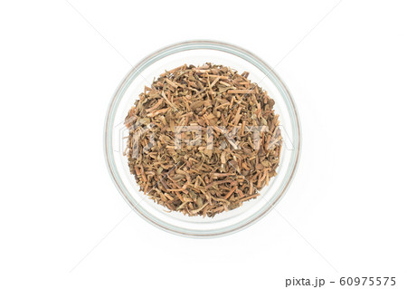 ブラーミ ブラフミー バコパモニエリ: Brahmi, Bacopa monnieri ブラーミ ブラフミー バコパモニエリ: Brahmi, Bacopa monnieri 60975575