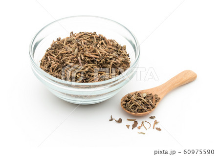 ブラーミ ブラフミー バコパモニエリ: Brahmi, Bacopa monnieri ブラーミ ブラフミー バコパモニエリ: Brahmi, Bacopa monnieri 60975590