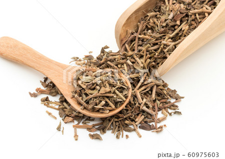 ブラーミ ブラフミー バコパモニエリ: Brahmi, Bacopa monnieri ブラーミ ブラフミー バコパモニエリ: Brahmi, Bacopa monnieri 60975603