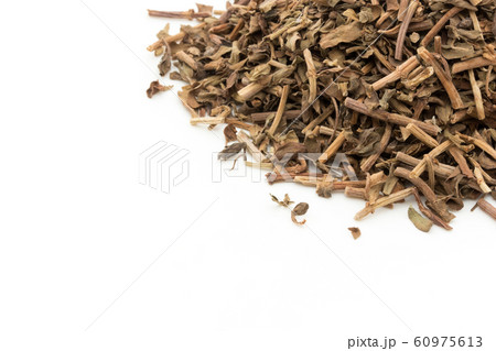 ブラーミ ブラフミー バコパモニエリ: Brahmi, Bacopa monnieri ブラーミ ブラフミー バコパモニエリ: Brahmi, Bacopa monnieri 60975613