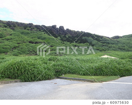 与那国島（東崎） 60975630