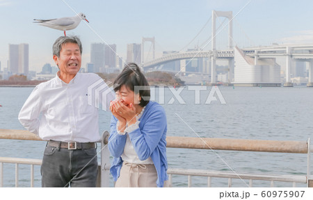 お台場 カモメと夫婦 レインボーブリッジ 2020オリンピック会場 60975907