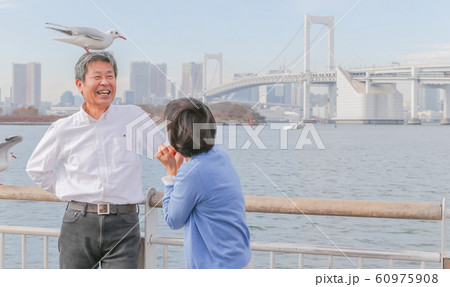 お台場 カモメと夫婦 レインボーブリッジ 2020オリンピック会場 60975908