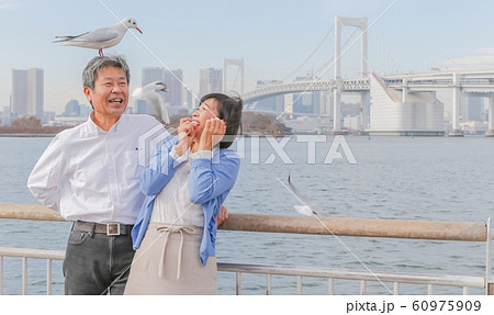 お台場 カモメと夫婦 レインボーブリッジ 2020オリンピック会場 60975909