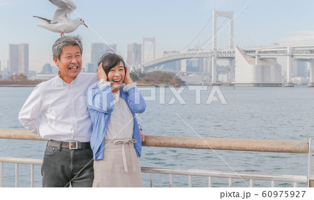 お台場 カモメと夫婦 レインボーブリッジ 2020オリンピック会場 60975927