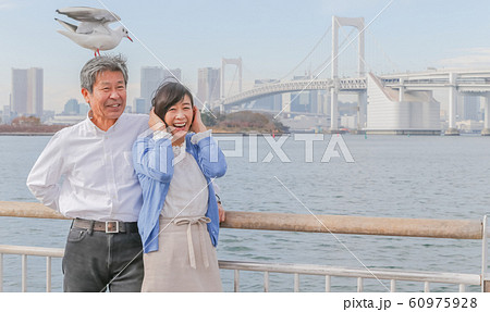 お台場 カモメと夫婦 レインボーブリッジ 2020オリンピック会場 お台場 カモメと夫婦 レインボーブリッジ 2020オリンピック会場 60975928