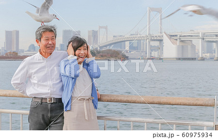 お台場 カモメと夫婦 レインボーブリッジ 2020オリンピック会場 お台場 カモメと夫婦 レインボーブリッジ 2020オリンピック会場 60975934