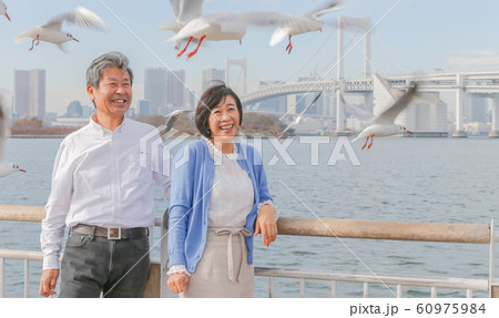 お台場 カモメと夫婦 レインボーブリッジ 2020オリンピック会場 60975984