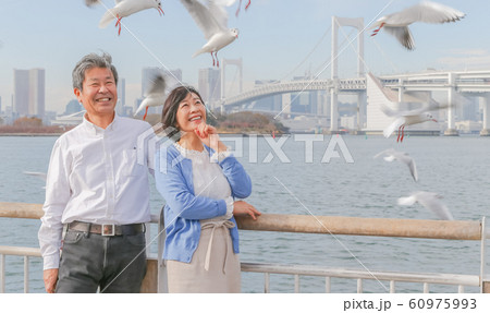 お台場 カモメと夫婦 レインボーブリッジ 2020オリンピック会場 お台場 カモメと夫婦 レインボーブリッジ 2020オリンピック会場 60975993