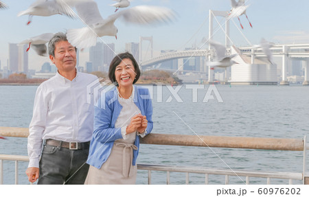 お台場 カモメと夫婦 レインボーブリッジ 2020オリンピック会場 お台場 カモメと夫婦 レインボーブリッジ 2020オリンピック会場 60976202