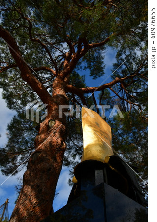 金沢　尾山神社　輝く前田利家の兜 60976655