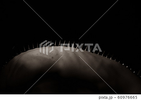 Fashion Big Spikes lie on Back of Acne Skin Model 60976665